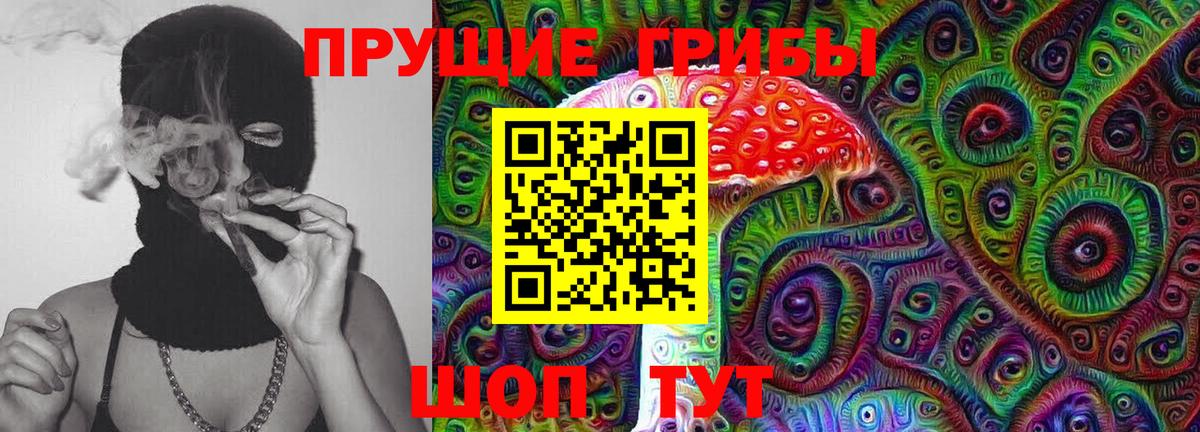Псилоцибиновые грибы Cubensis  Вход с VPN  Бахчисарай 