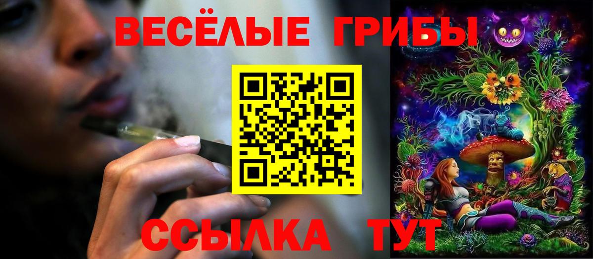Псилоцибиновые грибы Psilocybine cubensis Бахчисарай